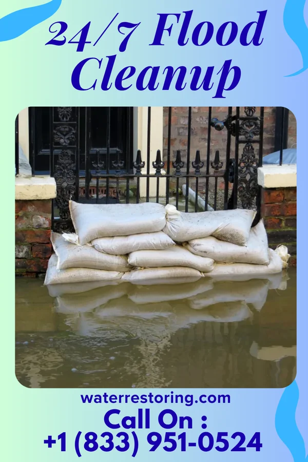 24/7 Flood Cleanup in La Grange, MO