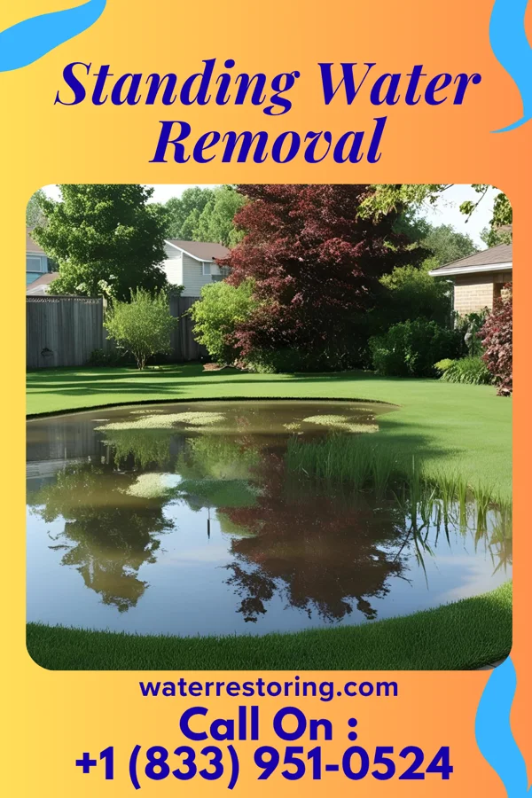 Standing Water Removal in La Grange, MO
